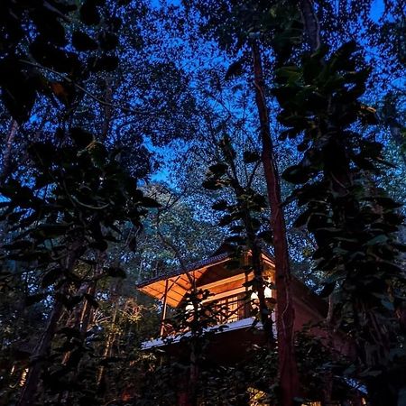 Coffee Acres Resort Kalpetta Kültér fotó