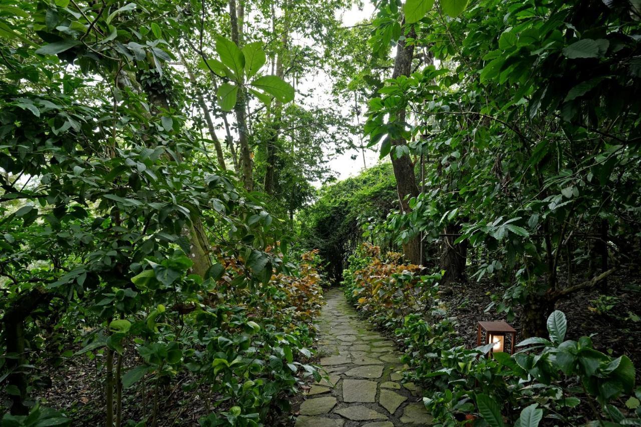 Coffee Acres Resort Kalpetta Kültér fotó