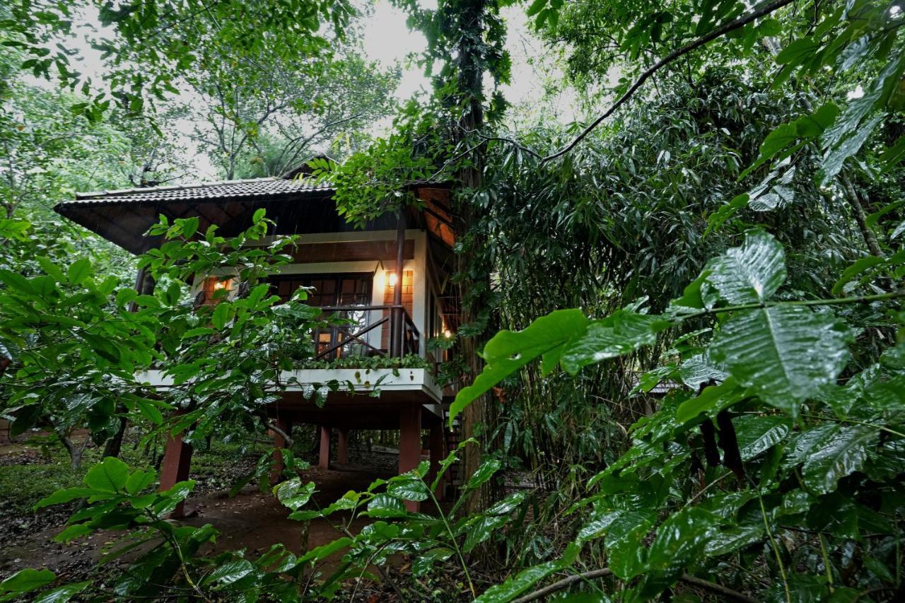 Coffee Acres Resort Kalpetta Kültér fotó