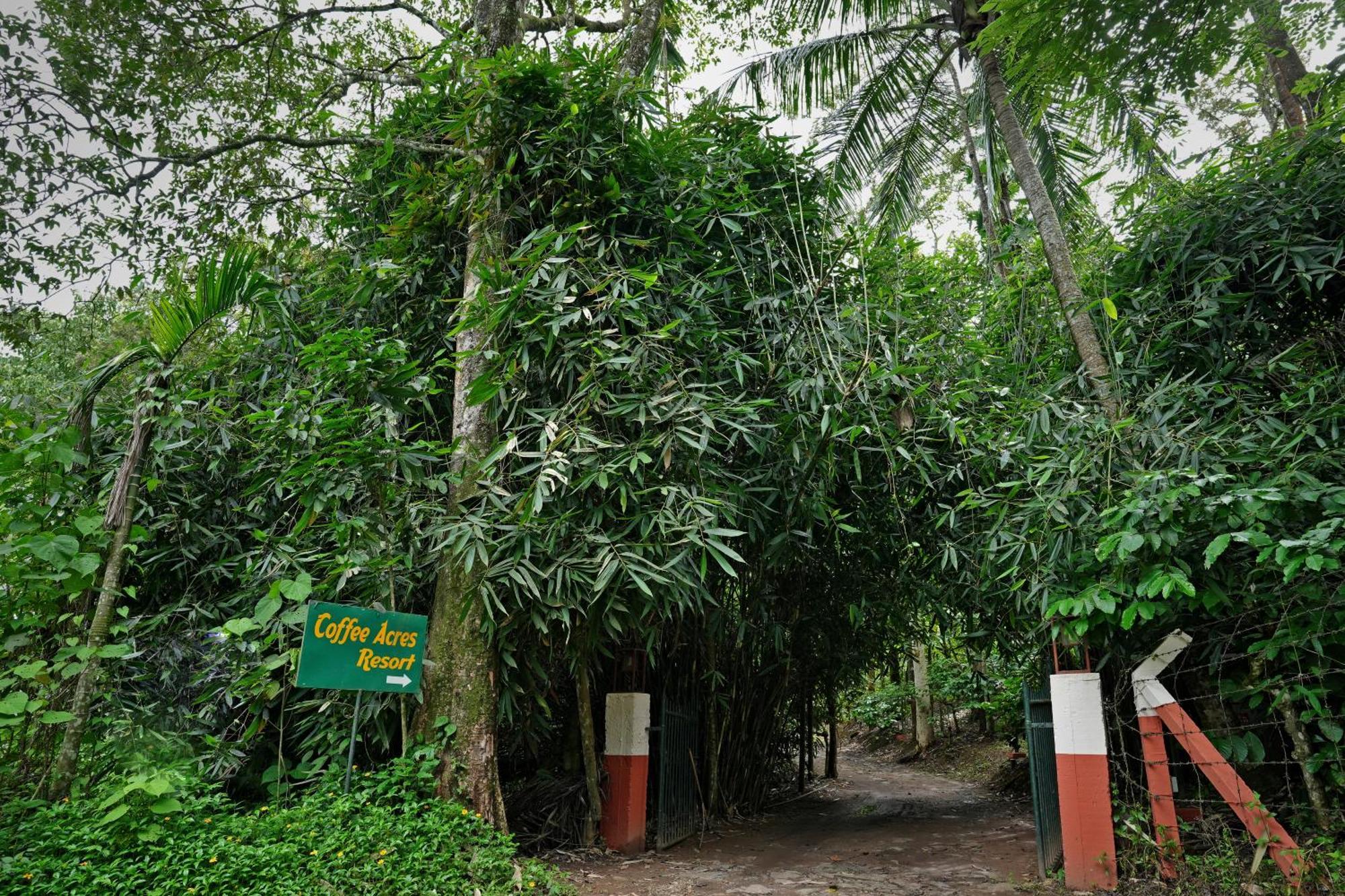 Coffee Acres Resort Kalpetta Kültér fotó