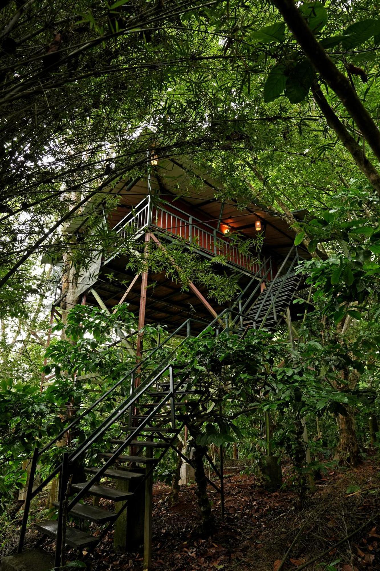 Coffee Acres Resort Kalpetta Kültér fotó