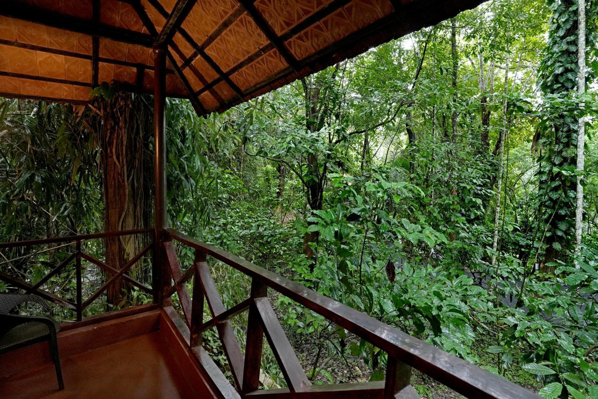 Coffee Acres Resort Kalpetta Kültér fotó